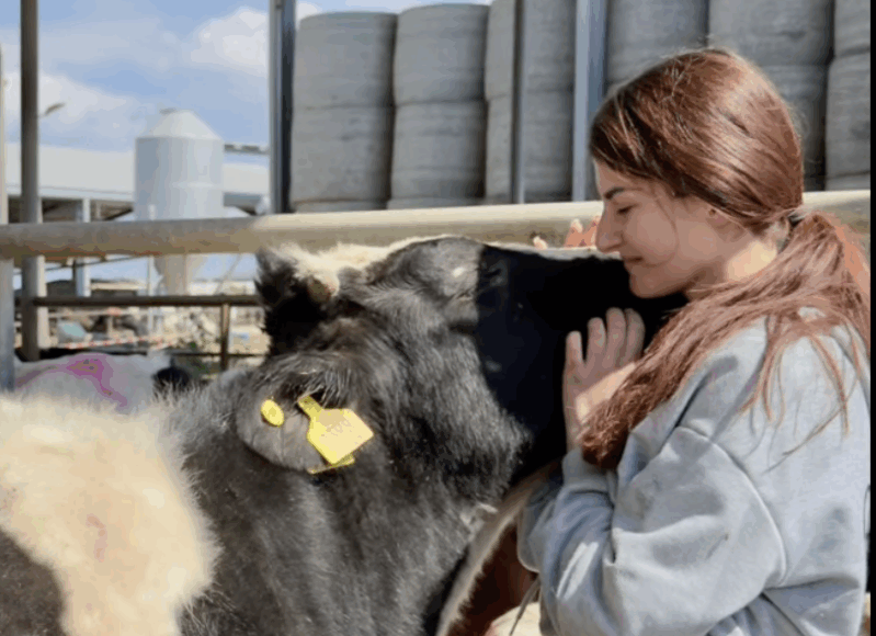 Στιγμιότυπο οθόνης 2026-03-14, 3.36.53 μμ