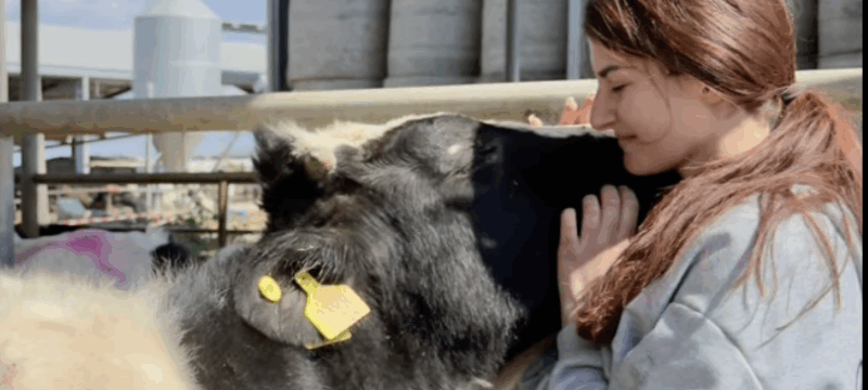 Στιγμιότυπο οθόνης 2026-03-14, 3.36.53 μμ