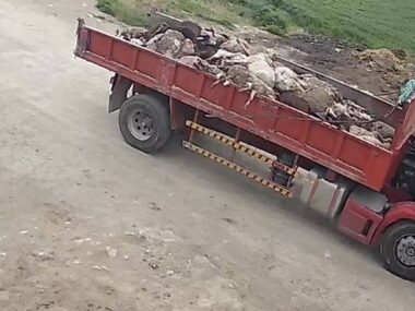 ΥΓΙΕΙΟΝΟΜΙΚΗ ΒΟΜΒΑ