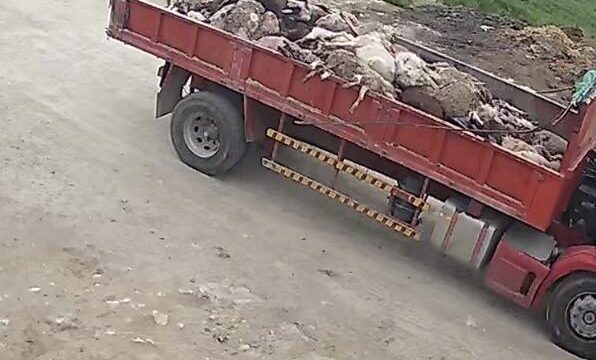 ΥΓΙΕΙΟΝΟΜΙΚΗ ΒΟΜΒΑ