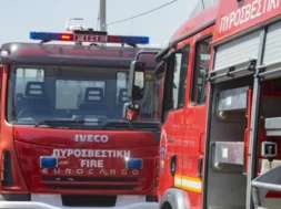 ΦΩΤΙΑ ΕΡΓΟΣΤΑΣΙΟ ΦΥΣΙΓΓΙΩΝ