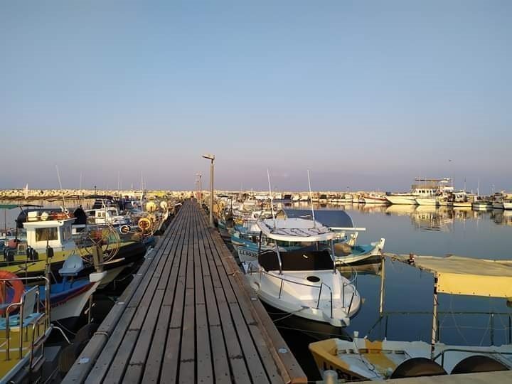 Θολό το τοπίο για επίλυση του προβλήματος εκβάθυνσης και καθαρισμού στο ψαρολίμανο Λάρνακας – Ακόμα να εξευρεθεί η κατάλληλη λύση