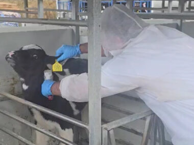 εμβολιασμοί αφθωδης.00_00_00_00.Still001