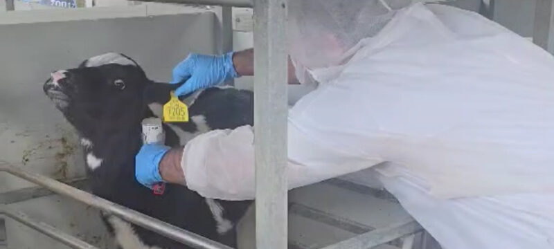 εμβολιασμοί αφθωδης.00_00_00_00.Still001