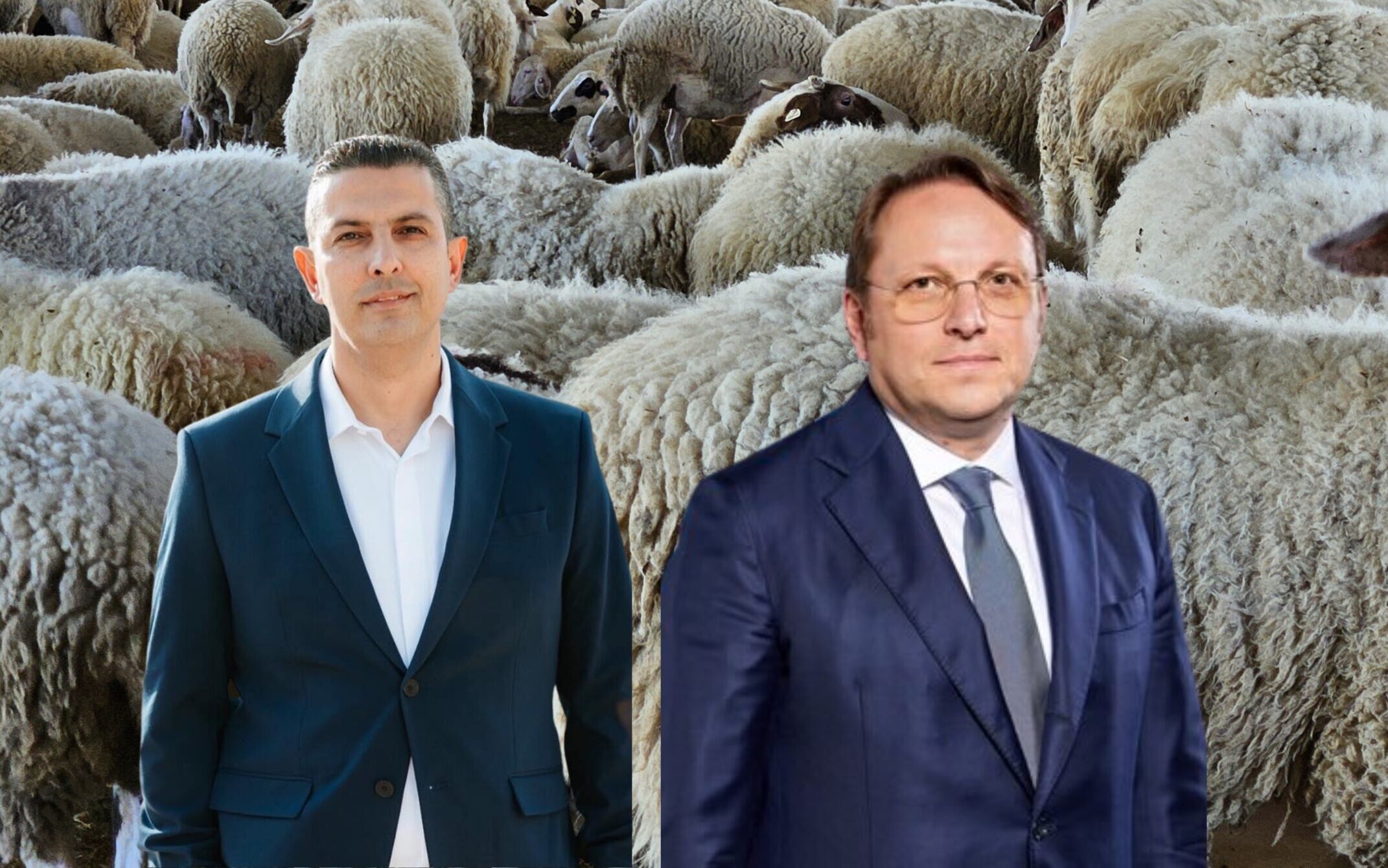 Παρέμβαση Ππεκρή στην ΕΕ για κατεχόμενα: Ζητά ίσα μέτρα για δημόσια υγεία και κτηνοτροφία