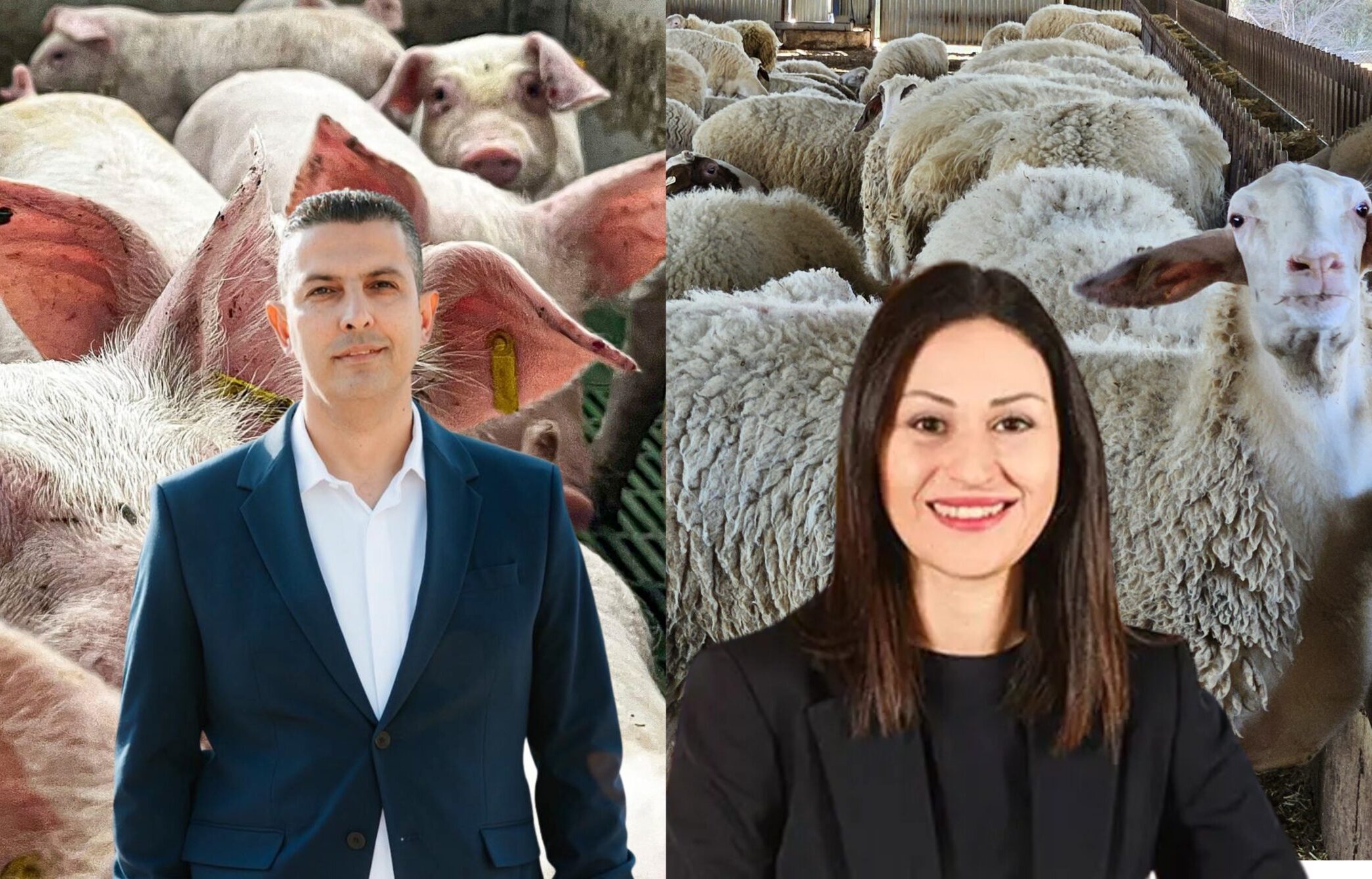 &Alpha;&phi;&theta;ώ&delta;&eta;&sigmaf; &pi;&upsilon;&rho;&epsilon;&tau;ό&sigmaf; &kappa;&alpha;&iota; &sigma;&epsilon; &chi;&omicron;&iota;&rho;&omicron;&sigma;&tau;ά&sigma;&iota;&alpha; &ndash; &Sigma;&omicron;&beta;&alpha;&rho;ά &epsilon;&rho;&omega;&tau;ή&mu;&alpha;&tau;&alpha; &Pi;&pi;&epsilon;&kappa;&rho;ή &gamma;&iota;&alpha; &tau;&eta; &delta;&iota;&alpha;&chi;&epsilon;ί&rho;&iota;&sigma;&eta; &tau;&eta;&sigmaf; &kappa;&rho;ί&sigma;&eta;&sigmaf;