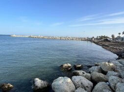 11a4dd3c-385b-40f1-b9ea-f75970d83e90 (1)