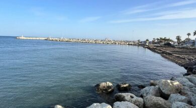 11a4dd3c-385b-40f1-b9ea-f75970d83e90 (1)