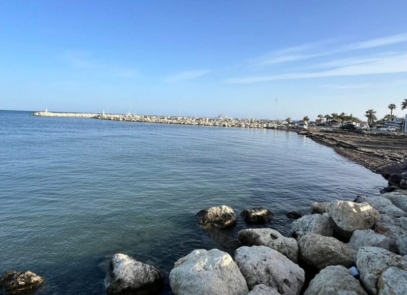 11a4dd3c-385b-40f1-b9ea-f75970d83e90 (1)