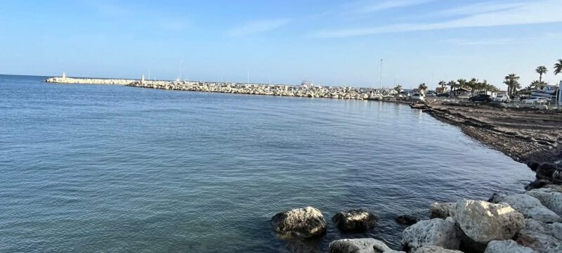 11a4dd3c-385b-40f1-b9ea-f75970d83e90 (1)