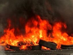 121202-0.fwtia-se-elastika-stin-pafo-1