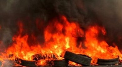 121202-0.fwtia-se-elastika-stin-pafo-1