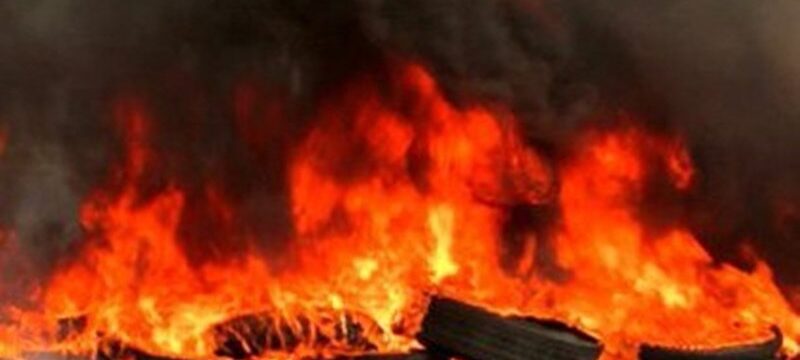 121202-0.fwtia-se-elastika-stin-pafo-1