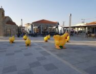 17498580_799860086835045_3772973317061969678_n