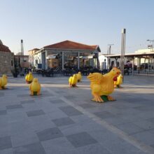 17498580_799860086835045_3772973317061969678_n