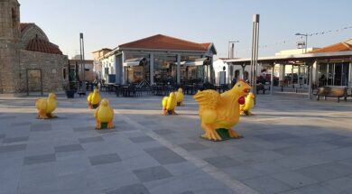 17498580_799860086835045_3772973317061969678_n