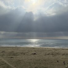 1e7044ad-050f-4b3f-897e-3d77c98ff053