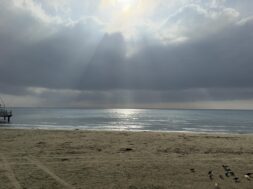 1e7044ad-050f-4b3f-897e-3d77c98ff053