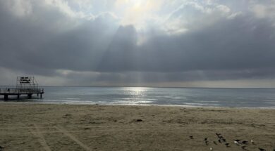 1e7044ad-050f-4b3f-897e-3d77c98ff053