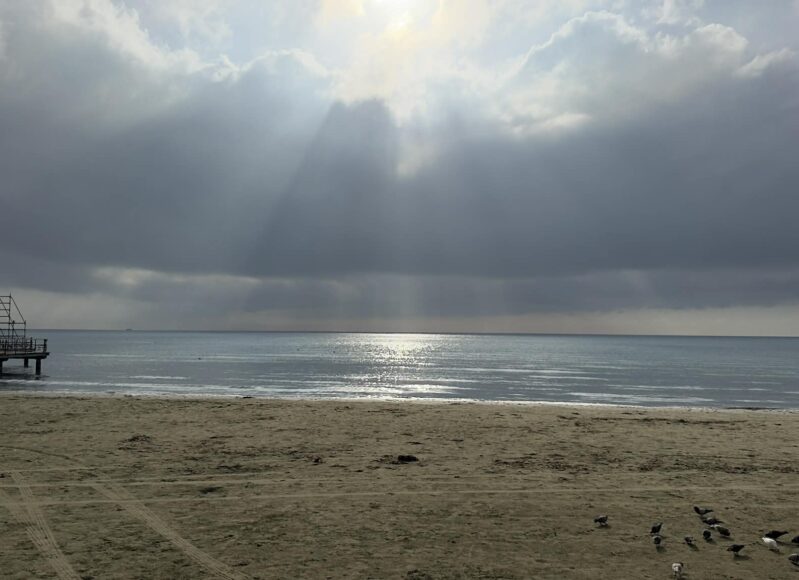 1e7044ad-050f-4b3f-897e-3d77c98ff053