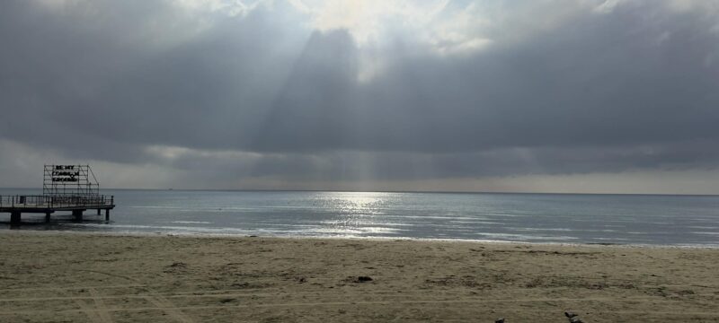 1e7044ad-050f-4b3f-897e-3d77c98ff053