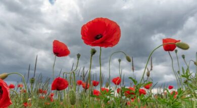 240501171116_kairos-pasxa