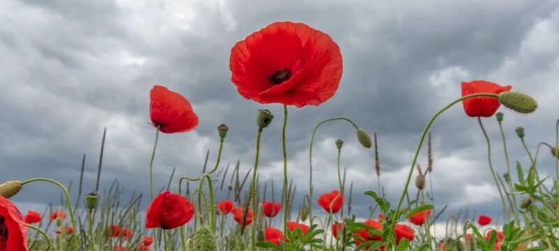 240501171116_kairos-pasxa