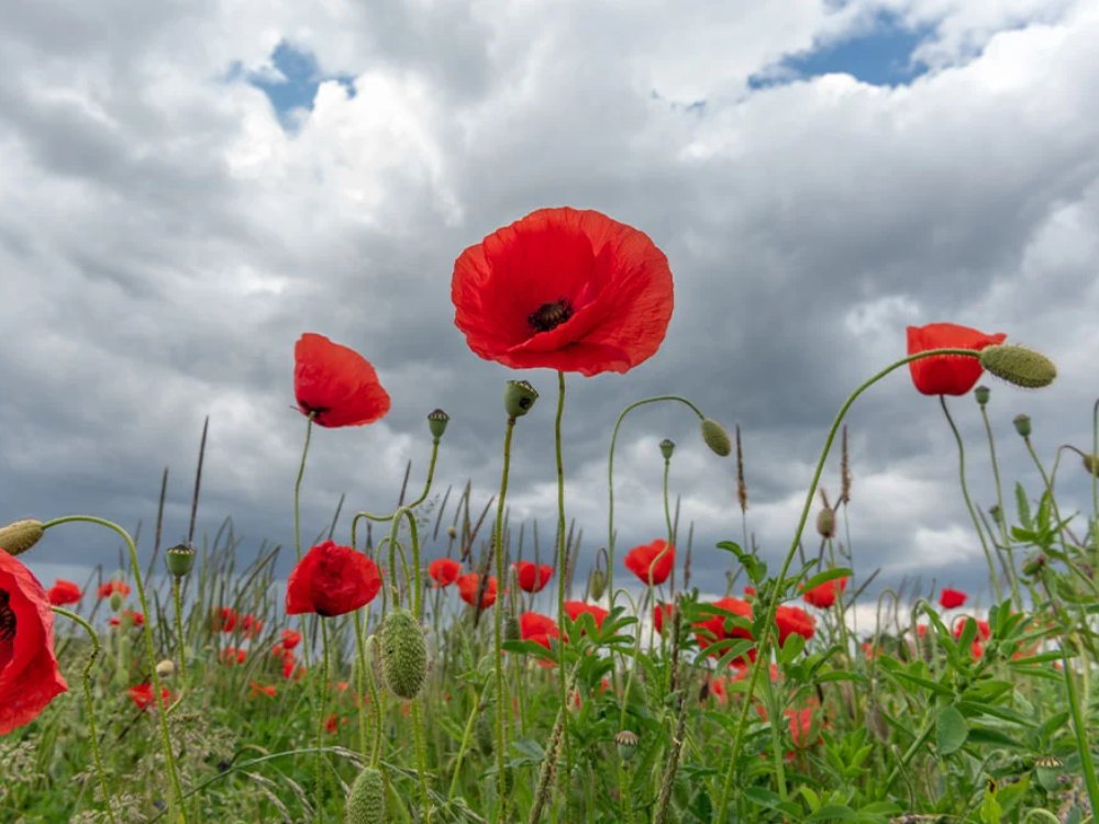 Αίθριος και σήμερα ο καιρός  – Έρχεται σκόνη από την Παρασκευή