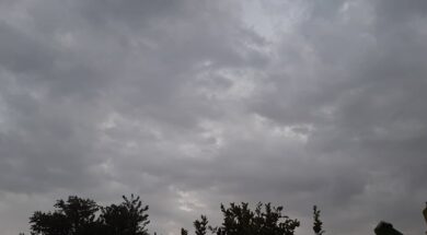 245698640_627287091772562_4253015476162201120_n