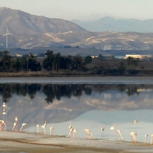 260168894_579025189829430_7572830209142658800_n