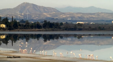 260168894_579025189829430_7572830209142658800_n