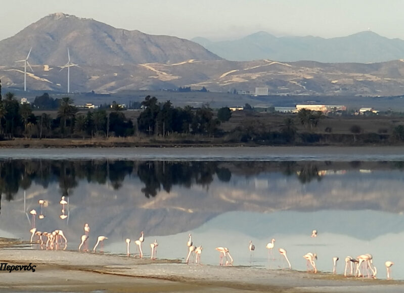 260168894_579025189829430_7572830209142658800_n