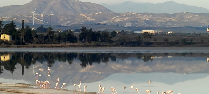 260168894_579025189829430_7572830209142658800_n