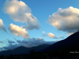 277094470_5324573254227724_9221645975985185231_n