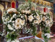 278784656_310694761207663_877771235313812066_n