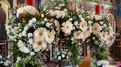 278784656_310694761207663_877771235313812066_n