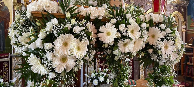 278784656_310694761207663_877771235313812066_n