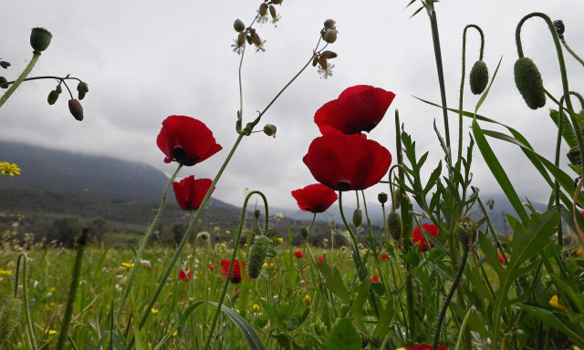 Με τι καιρό θα κάνουμε Πάσχα – Η πρόγνωση μέχρι τη Δευτέρα
