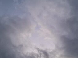 38ec3b28-869c-475b-8333-a17e0b3372c7