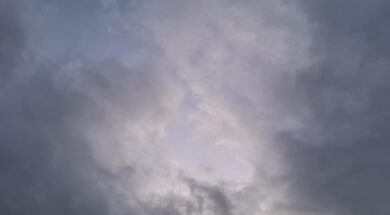 38ec3b28-869c-475b-8333-a17e0b3372c7