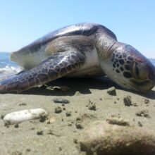 3b574321-f9f9-4f82-8838-8b27f77b6076