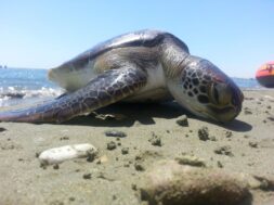 3b574321-f9f9-4f82-8838-8b27f77b6076