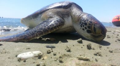 3b574321-f9f9-4f82-8838-8b27f77b6076