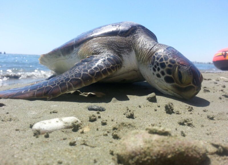 3b574321-f9f9-4f82-8838-8b27f77b6076