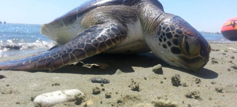 3b574321-f9f9-4f82-8838-8b27f77b6076