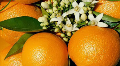 40132-ESPERIDOEIDI-PARAGOGOS—KALLIERGEIA-MANTARINION-LEMONION-PORTOKALION-ARTA—PARAGOGOS-ELAIOLADOY—DIATHESI—EMPORIO-THESSALONIKI-ARTA-MAKEDONIA-oranges