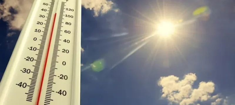 41603fed2880c1a764393735b06cb947-2 (1)