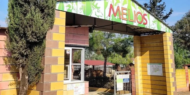 Melios Zoo: Καταγγέλλει κρατικούς λειτουργούς για κακοποίηση και θανάτους ζώων