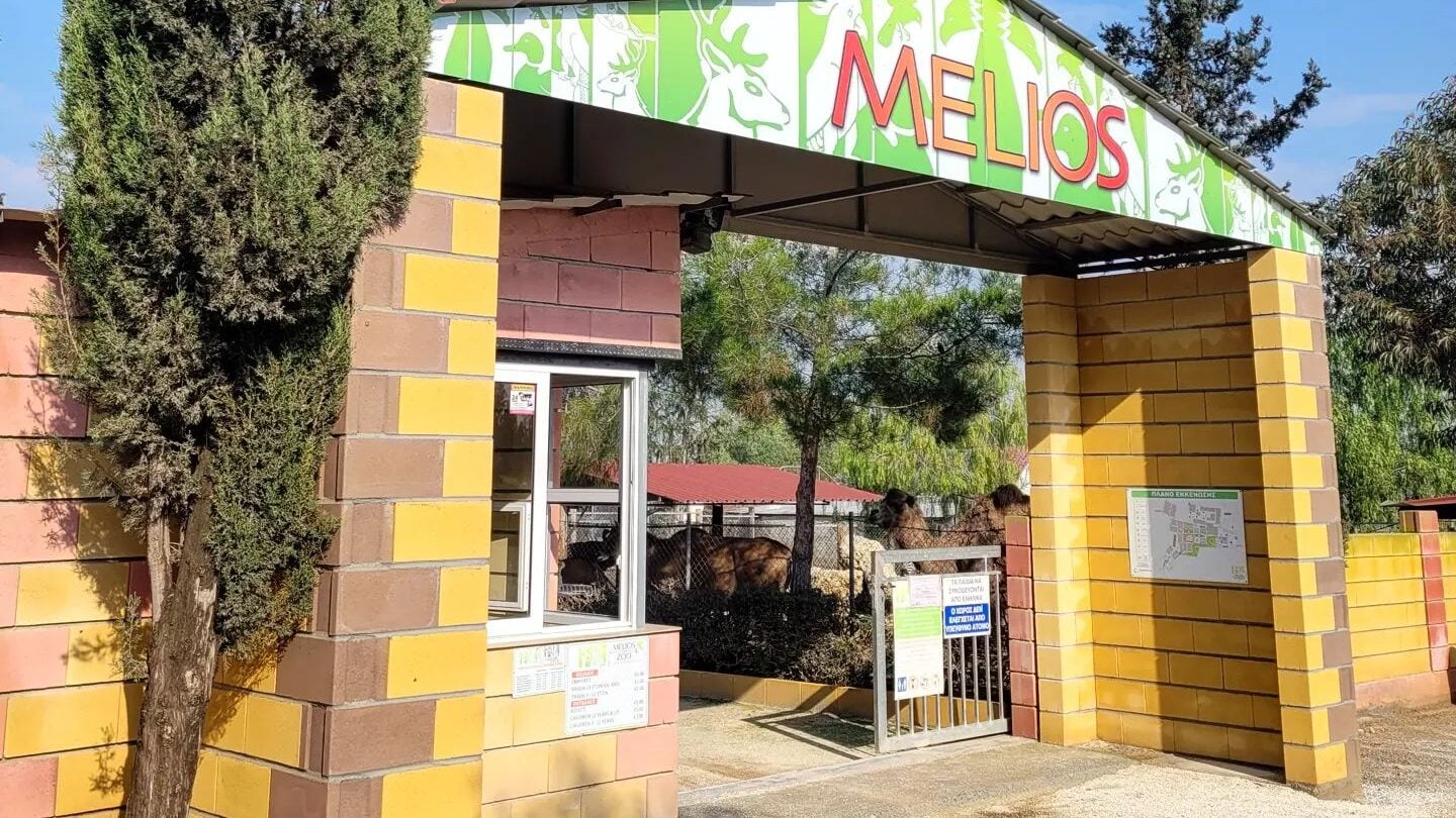 Κλείσιμο Melios Zoo: Μαζεύτηκαν υπογραφές σε υπόμνημα – Θα δοθεί στον ΠτΔ (βίντεο)