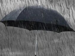 53a81d5a3d444a9f687474758cbbe37a.2e16d0ba.fill-1600×900